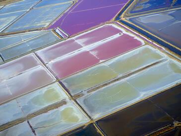 Camargue, Salt Marshes © Etienne Pierart